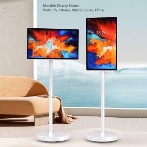 tv android portable 24 pouces HS24
